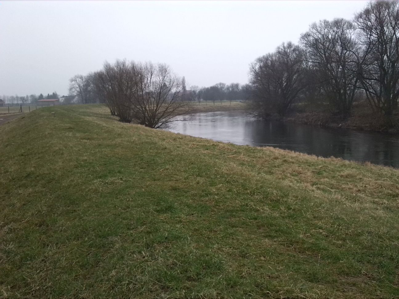 47-Saaleaue Zwischen Wölkau & Kreypau Blick Von Nordwesten Nach Südosten Saaleaufwärts Nach Wölkau (1)